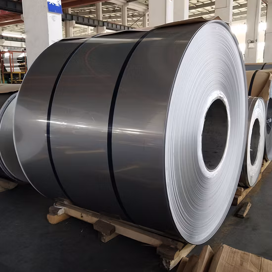 Spessore minimo 0,02 mm.  Bobina e nastro in acciaio inossidabile personalizzati